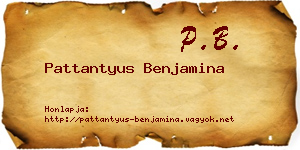 Pattantyus Benjamina névjegykártya